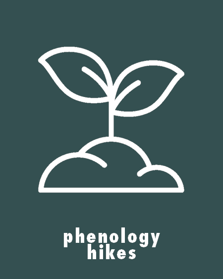 Phenology Hikes