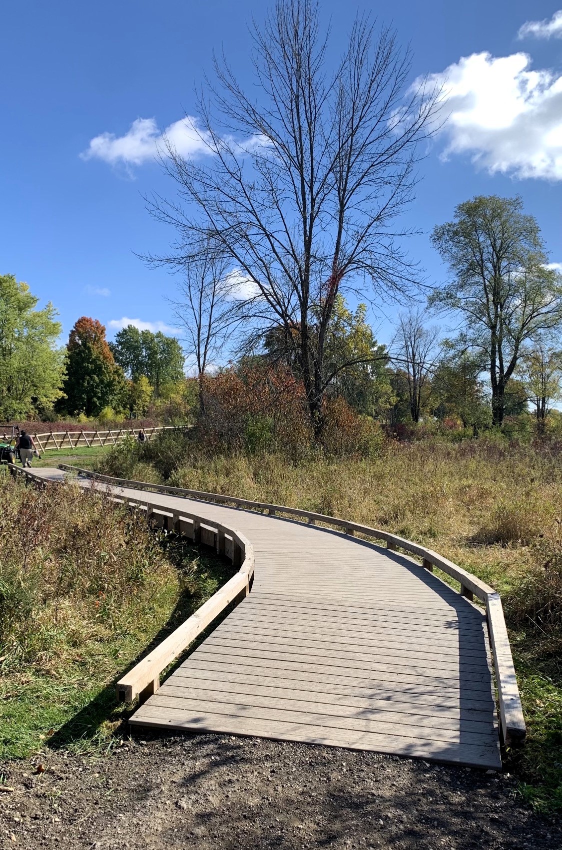 front view of beautiful boardwalk in Menonomee Park's Dog Exercise Area for large breed dogs. Buy a plank and personalize it!