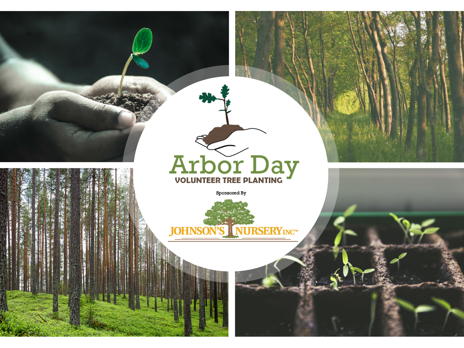 Arbor Day Foundation Tree Survey 2021