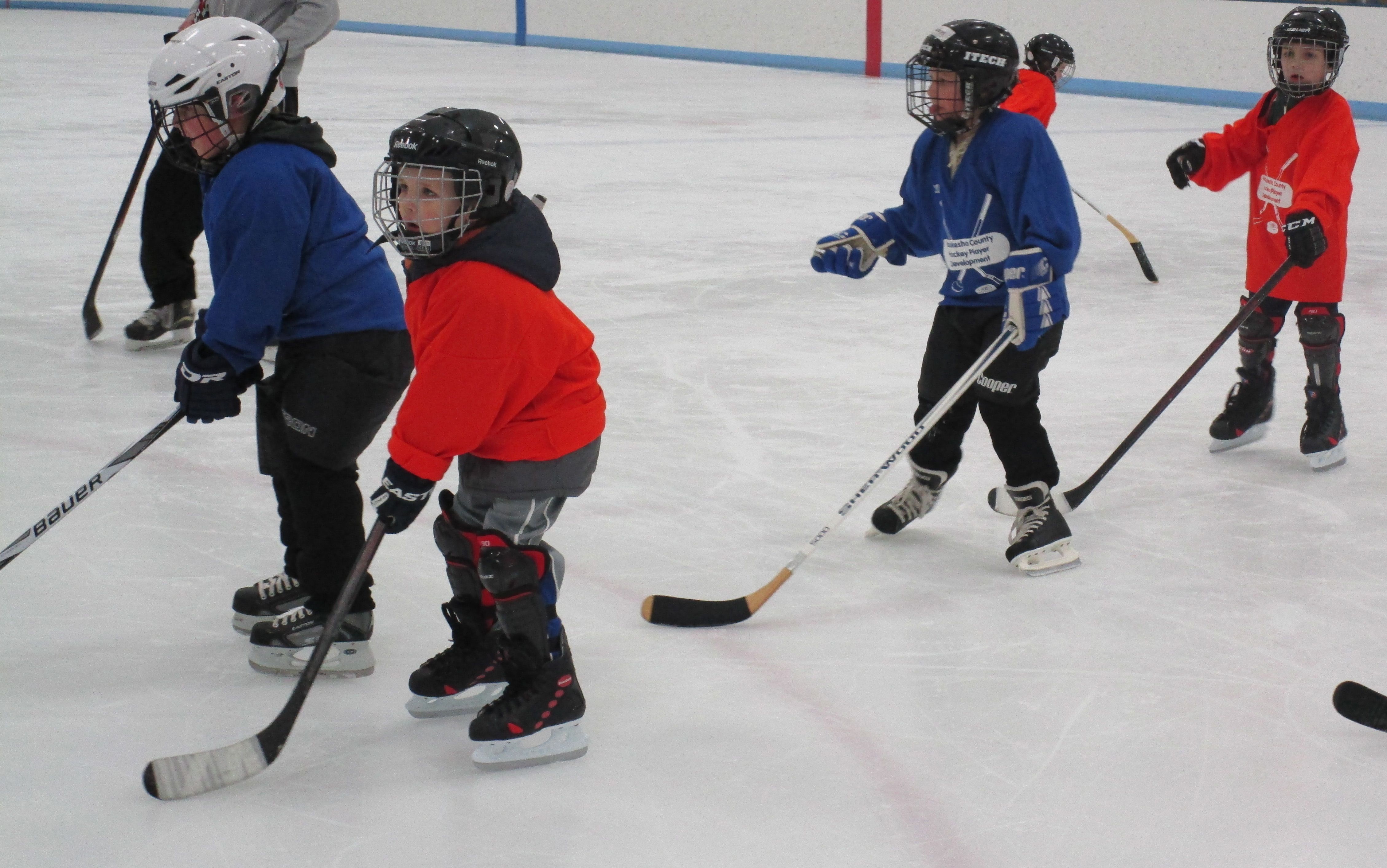 Eble Park Ice Arena offers learn-to-play hockey classes for children and adults at various times throughout the year. After completion of the class, players have the option to join a local hockey league.