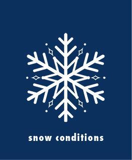 Snow Conditions Icon