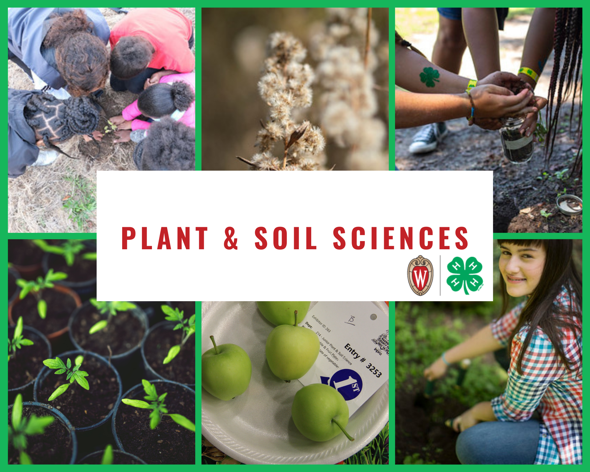 Plant & Soil Sciences