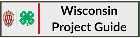 Wisconsin Project Guide