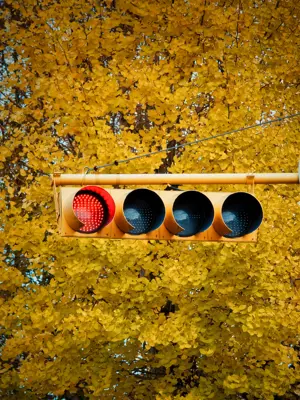 Stop Light 