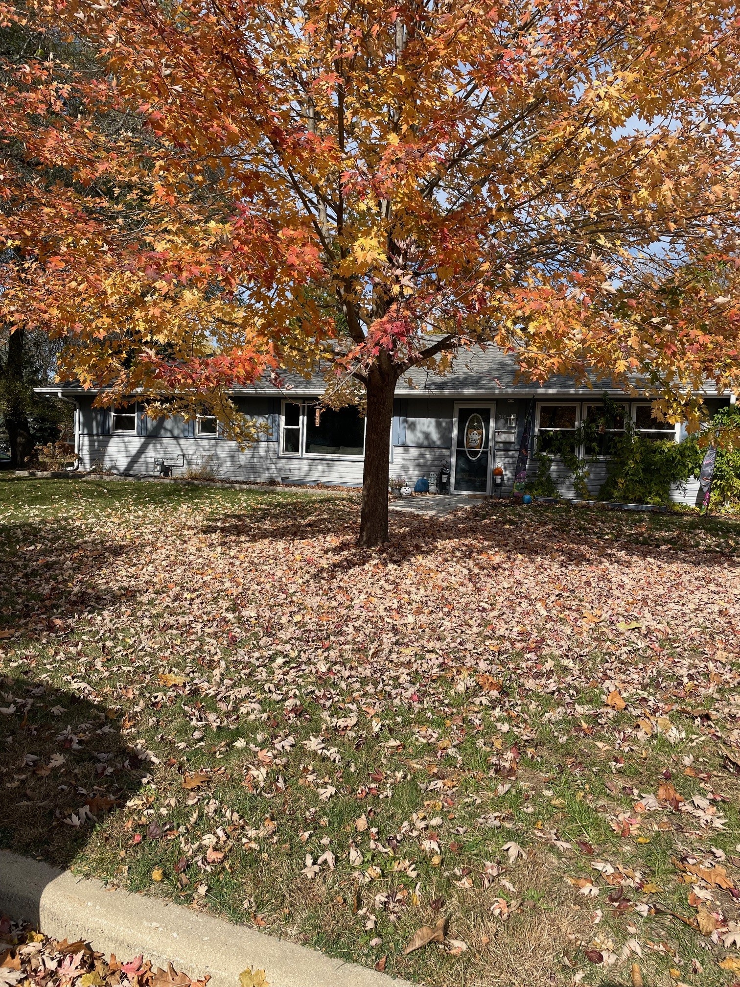 HAASE House Exterior 