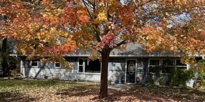 HAASE House Exterior